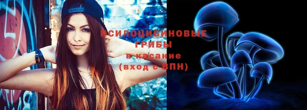 первитин Заводоуковск