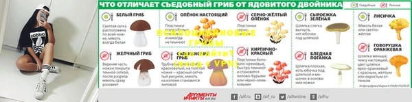 первитин Заводоуковск
