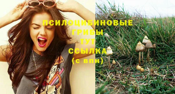 PSILOCYBIN Заволжск