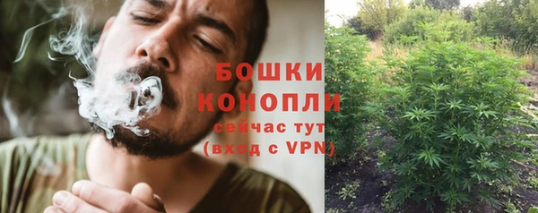 PSILOCYBIN Заволжск