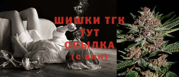 первитин Заводоуковск