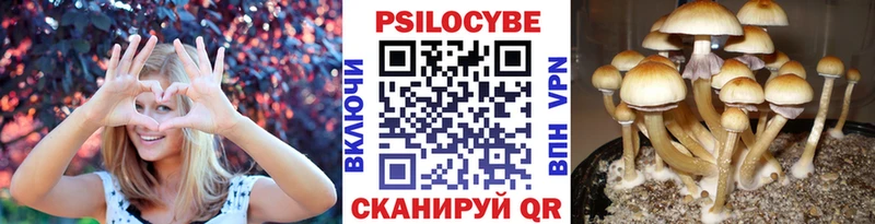 Псилоцибиновые грибы ЛСД  Купить закладки  Похвистнево 